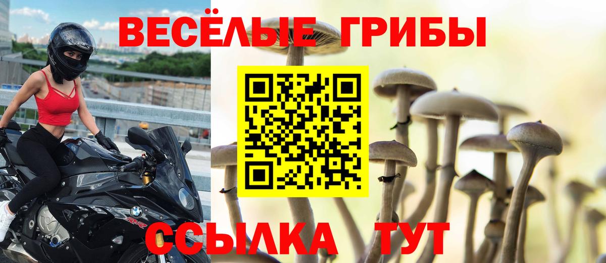 Галлюциногенные грибы GOLDEN TEACHER  Галлюциногенные грибы прущие грибы  Мценск  Вход с VPN 